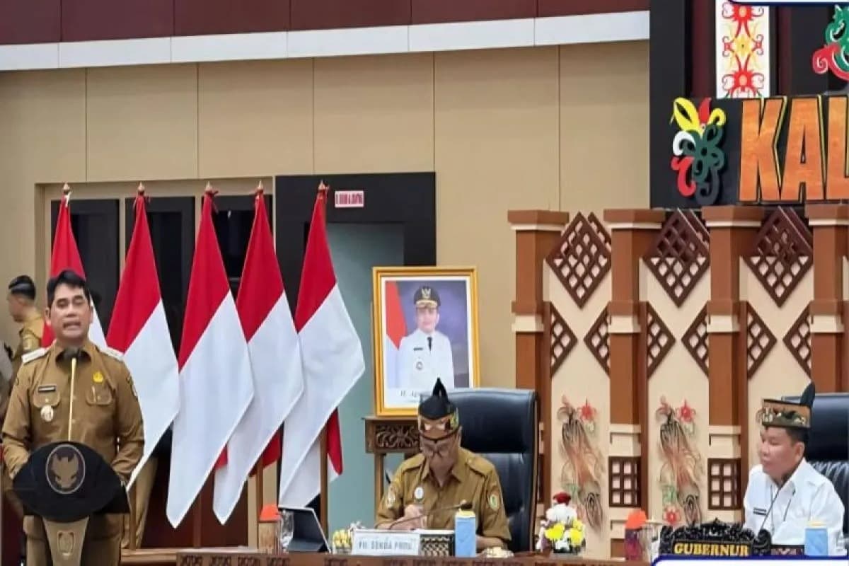 Optimalisasi PAD dan CSR Sektor Perkebunan dan Kehutanan