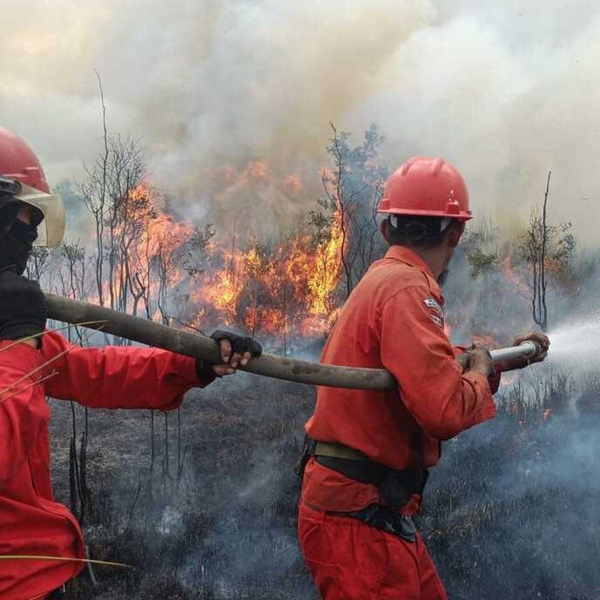 Bupati Sukamara Ingatkan Warga Cegah Karhutla