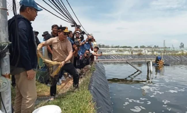 Gubernur : Shrimp Kembangkan Berkesinambung